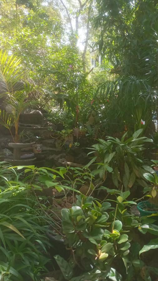 Ritz Inn إيلا المظهر الخارجي الصورة